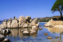 金年会体育官网:西甲第24輪巴塞羅那1-0瓦倫西亞 拉菲尼亞頭球破門 托雷斯失點阿勞霍染紅.